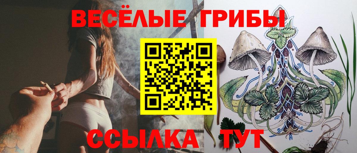 Псилоцибиновые грибы мицелий Александров