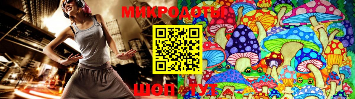 Александров  Галлюциногенные грибы прущие грибы  Вход с VPN 